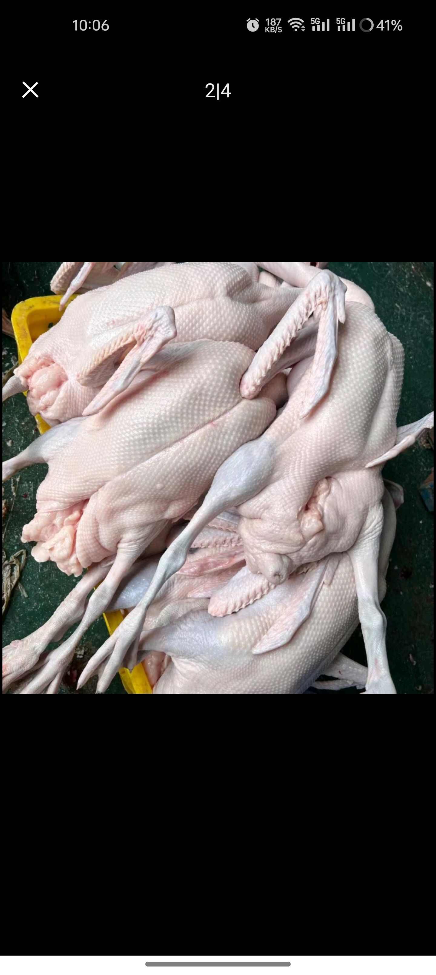 佛山屠宰厂黑棕鹅（当天屠宰）