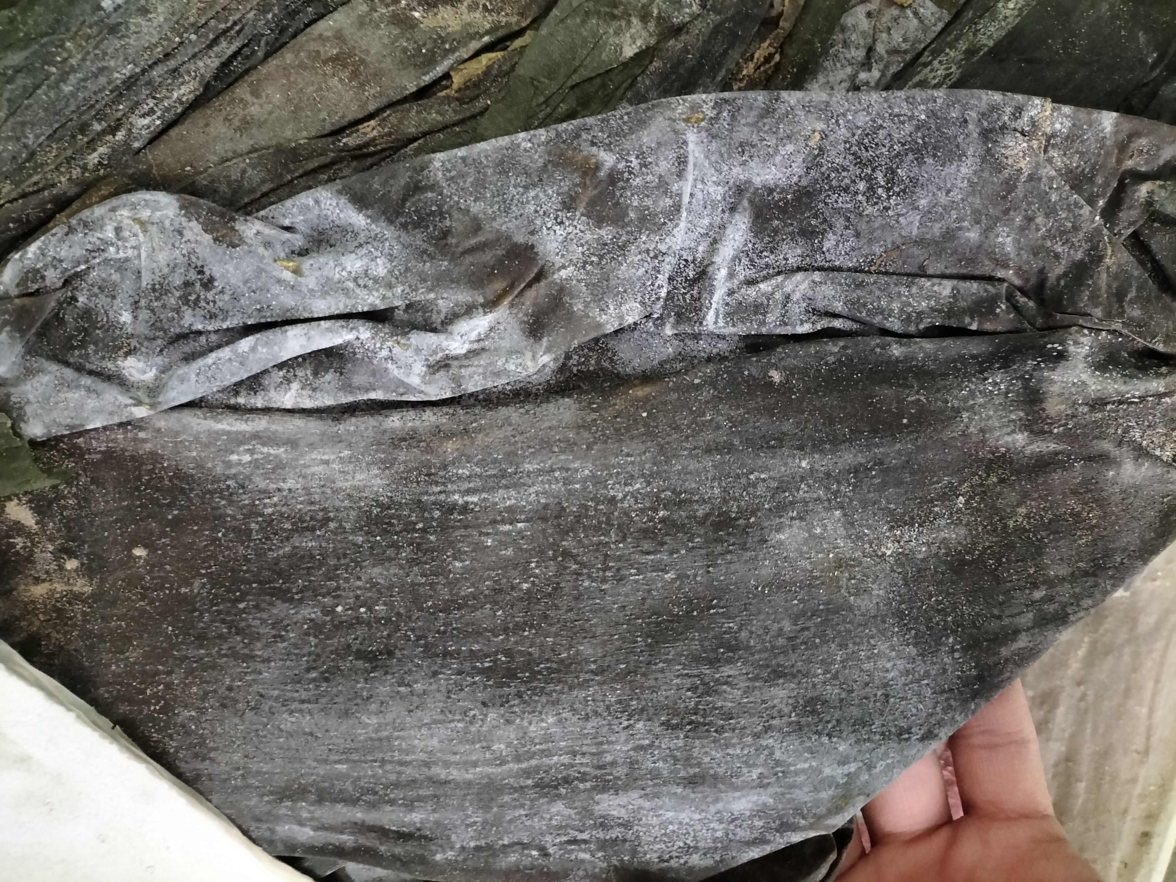 25年新货山东干海带 晒干整根海带干货10kg20斤散装饭店