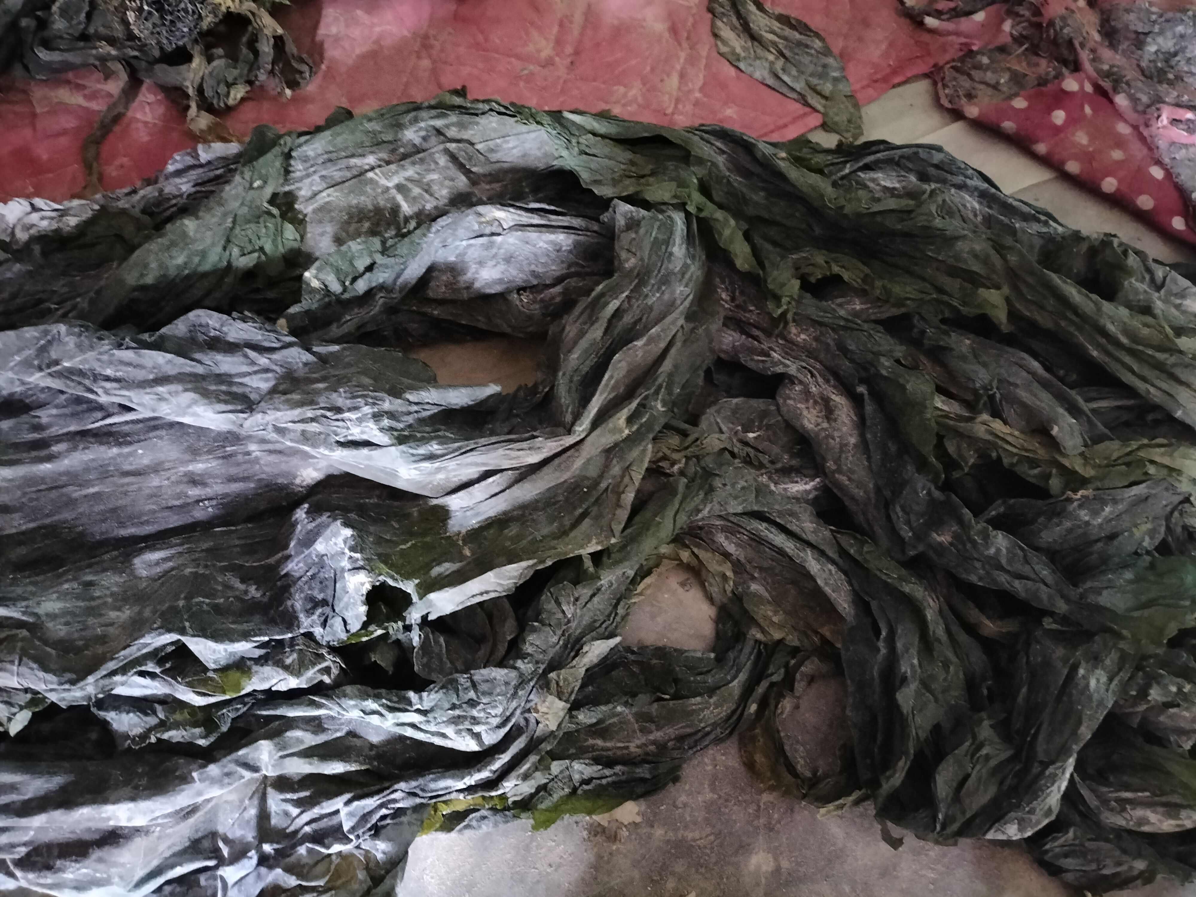 25年新货山东干海带 晒干整根海带干货10kg20斤散装饭店