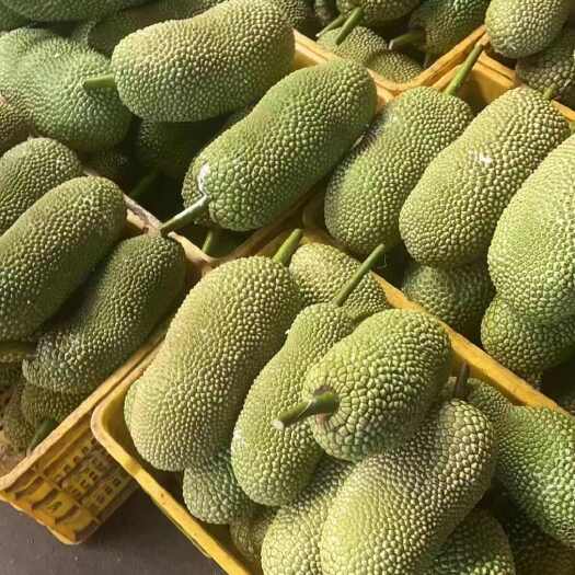新鲜现摘榴莲蜜多肉尖蜜拉湿包巴掌小菠萝蜜热带水果迷你现摘包邮