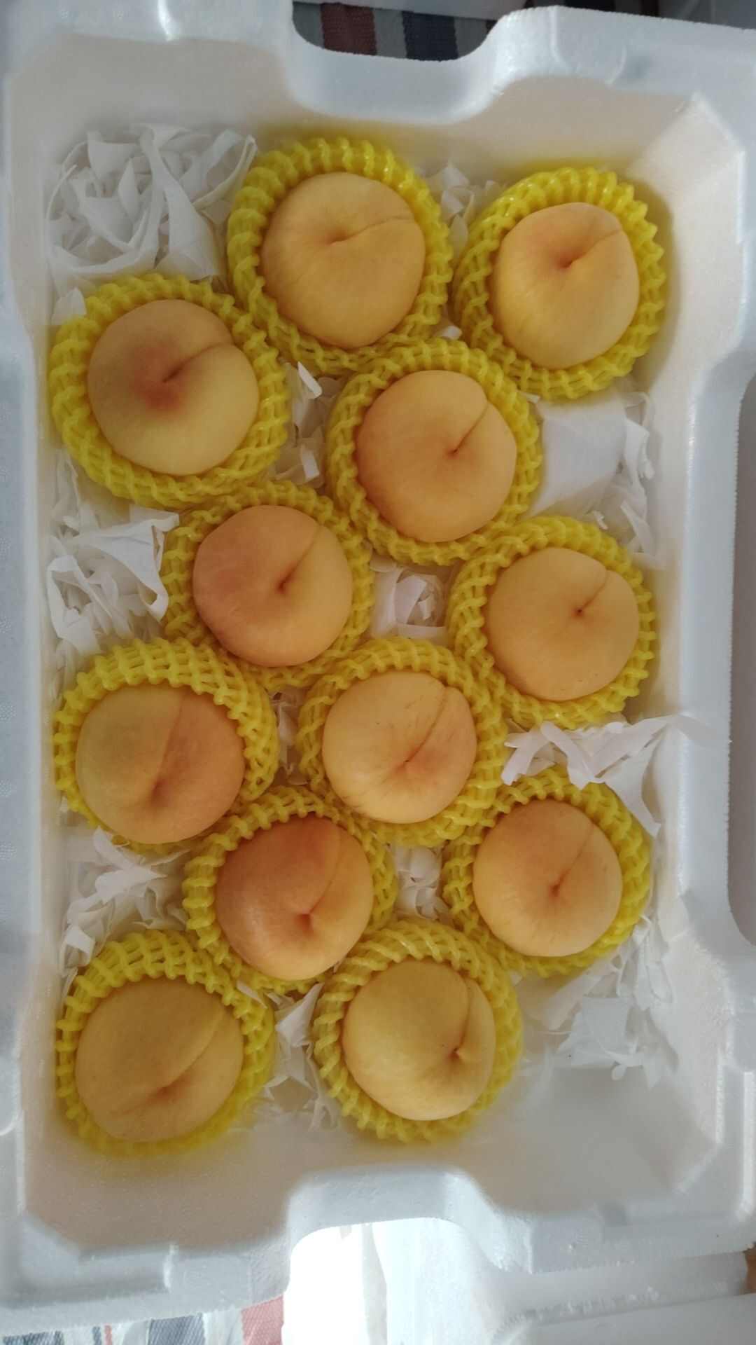 水蜜桃...突围...沙红...白凤黄桃