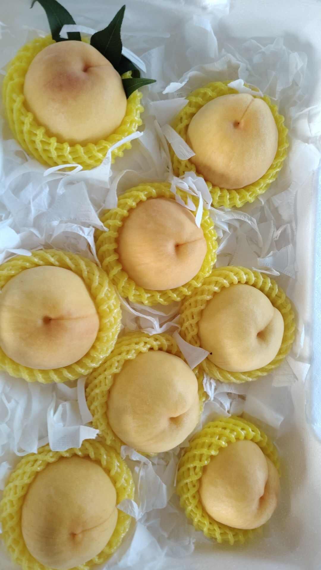 水蜜桃...突围...沙红...白凤黄桃