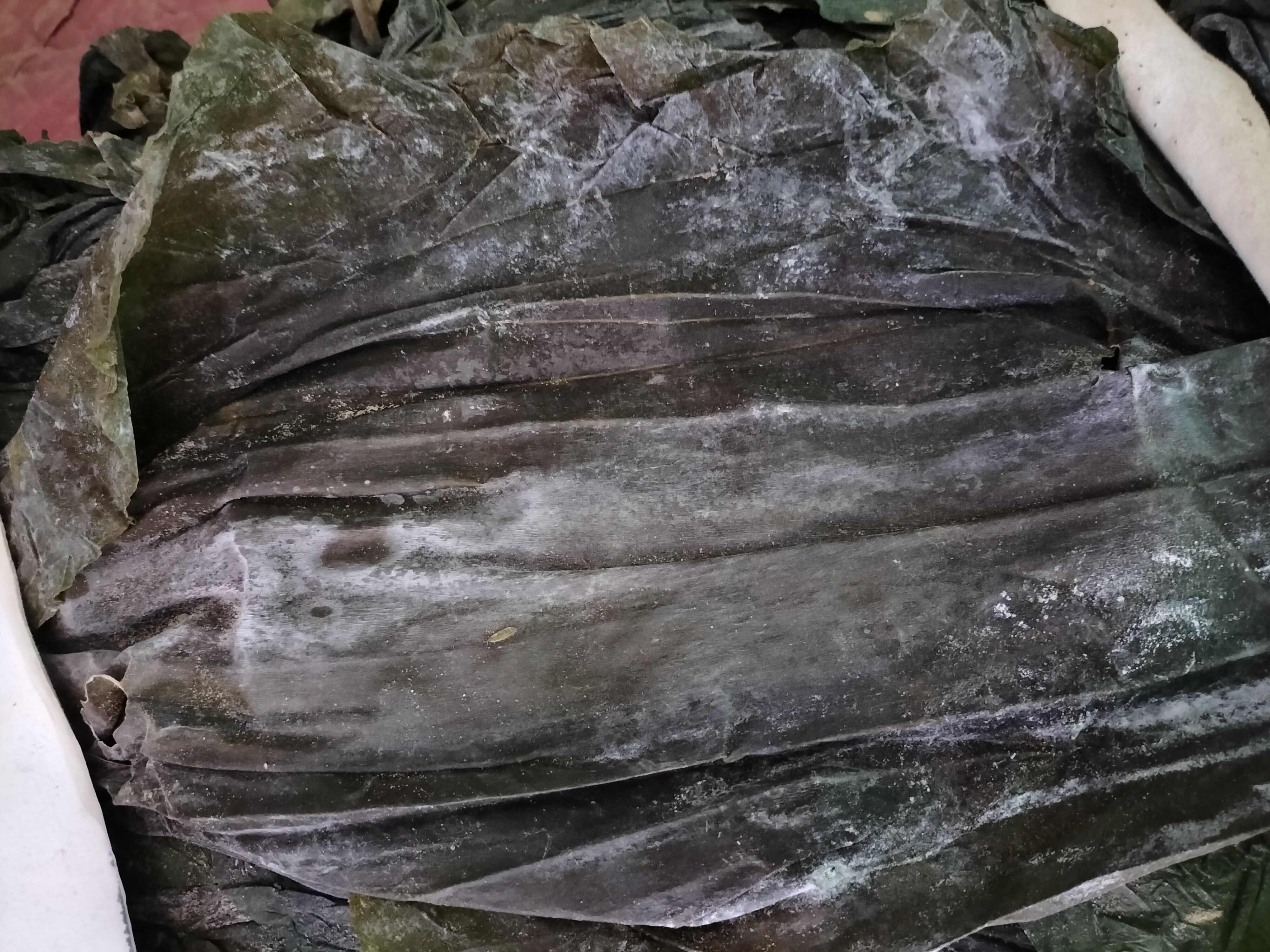 25年新货山东干海带 晒干整根海带干货10kg20斤散装饭店