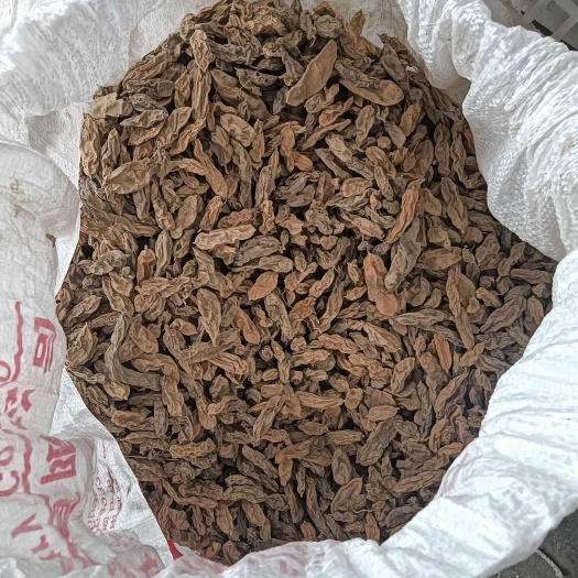 宁强县大麦冬干货低价出售