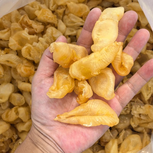 广州鱼胶批发圆粒珍珠胶100-160头足干泡发厚肉价格实惠靓货