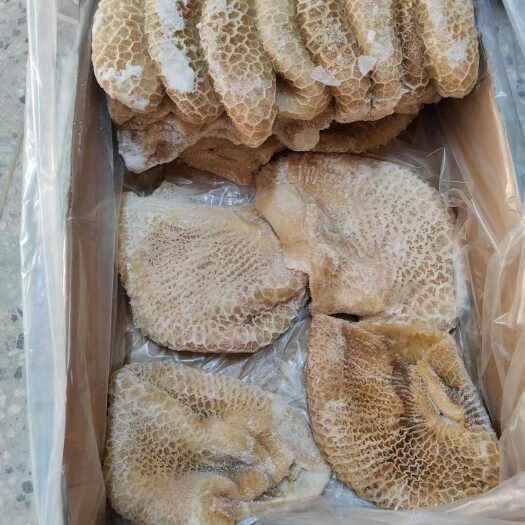 阳信县金钱肚，八分熟金钱肚，里外精修干净