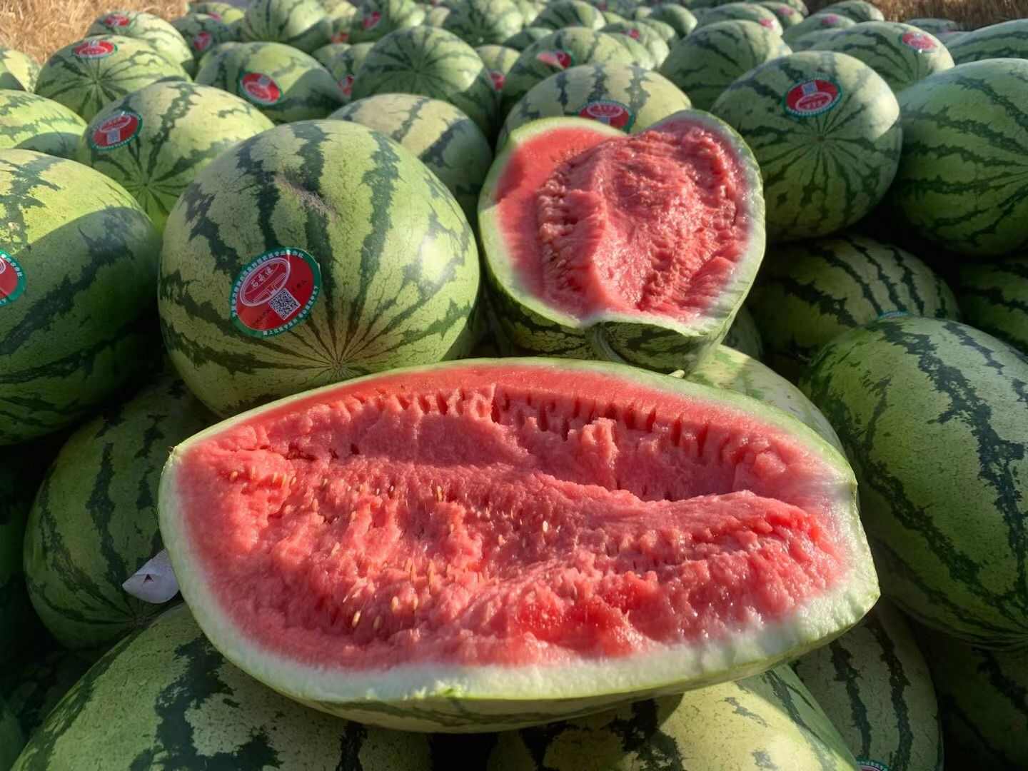 宁夏硒砂瓜石头瓜 产地直发 价格便宜