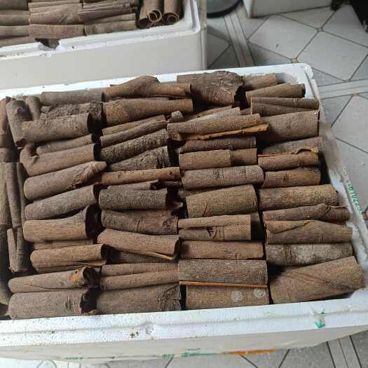 藤县十公分桂段足干无硫香味浓郁持久货源充足支持一件代发