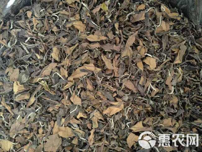 福建老白茶寿眉高山茶叶浓香型贡眉茶饼批发礼盒装500克