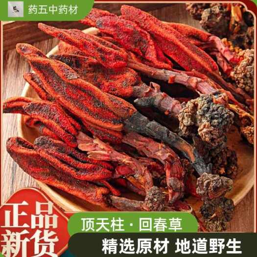玉林回春草新货正品顶天柱个大草苁蓉男性滋补泡水酒茶深山精选