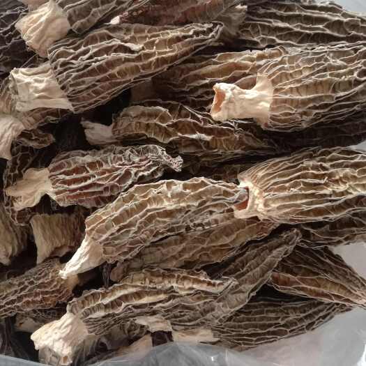 羊肚菌，精品装。