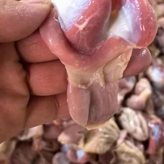 范县817大鸡胗 纯干货