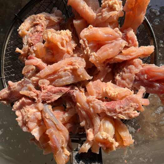 清水煮原色原味熟牛蹄筋  质量有保证  一手货源  货源充足