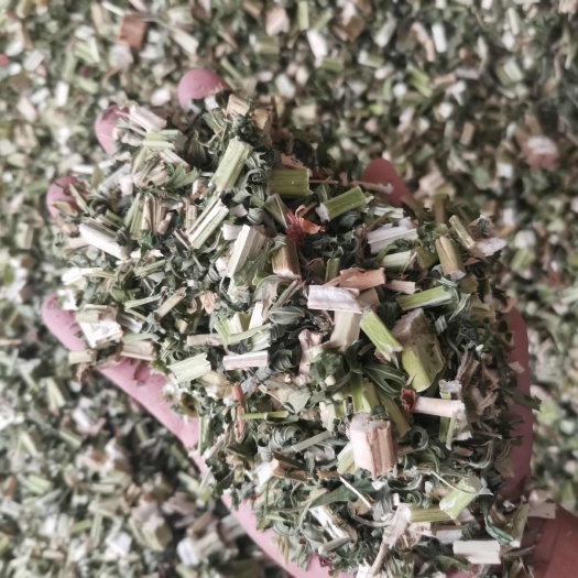 益母草 长期供应可批量可零售量大从优【假一赔十】