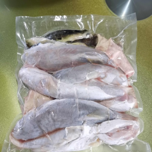 珠海河豚