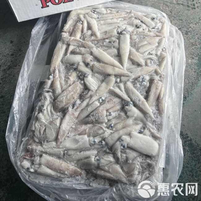 加州船冻笔管鱿鱼