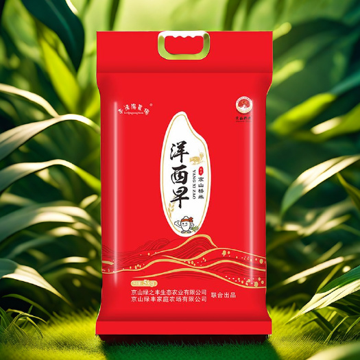 京山市古稻品种贡米长粒米湖北京山桥米洋西早5kg装