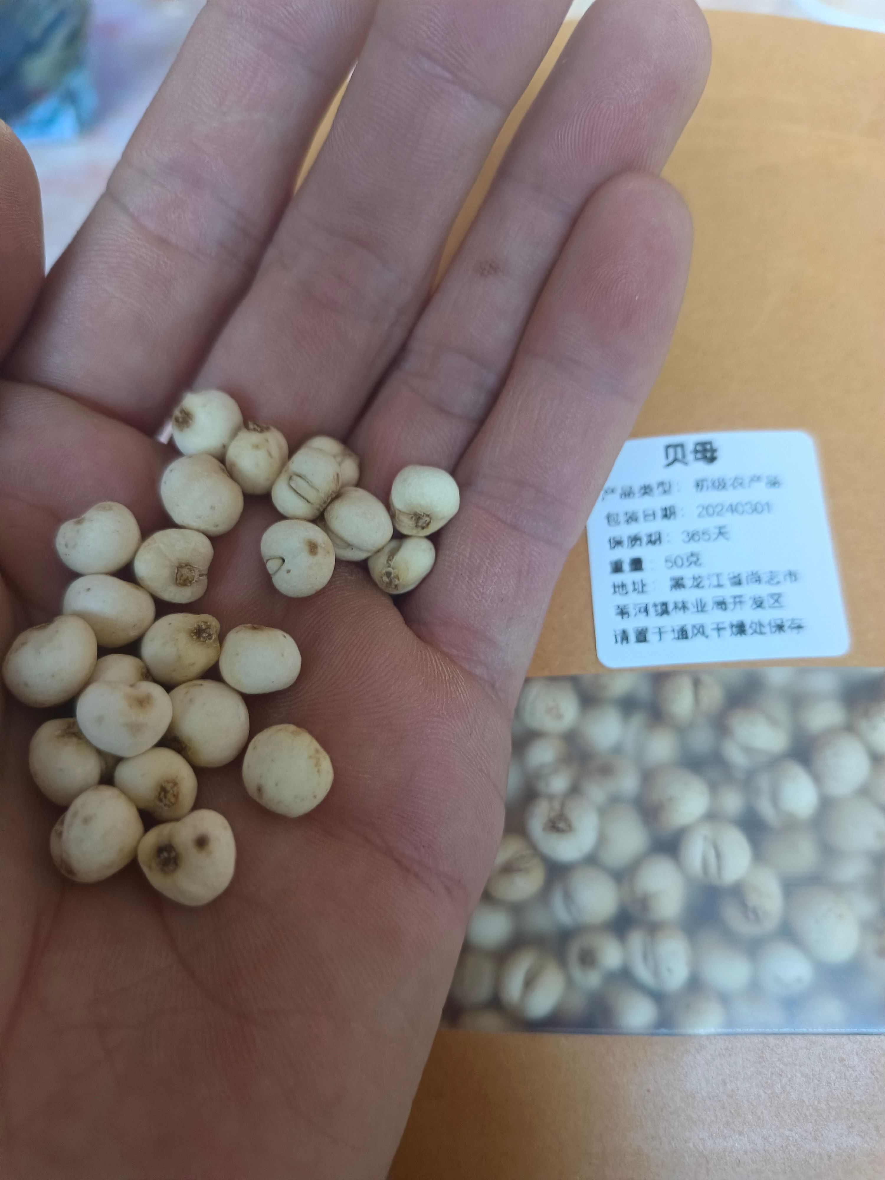 贝母种子怎么保存(贝母种子怎么保存不发芽)