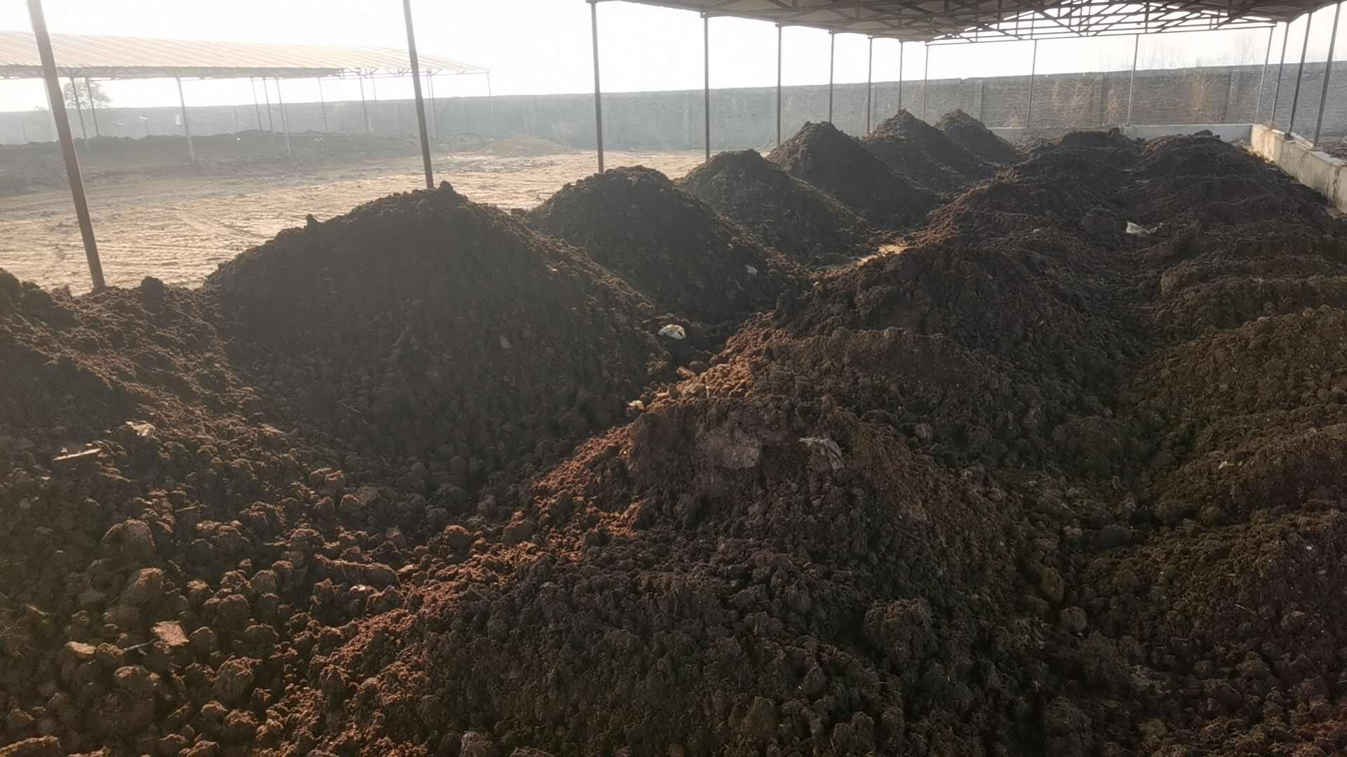 发酵纯牛粪