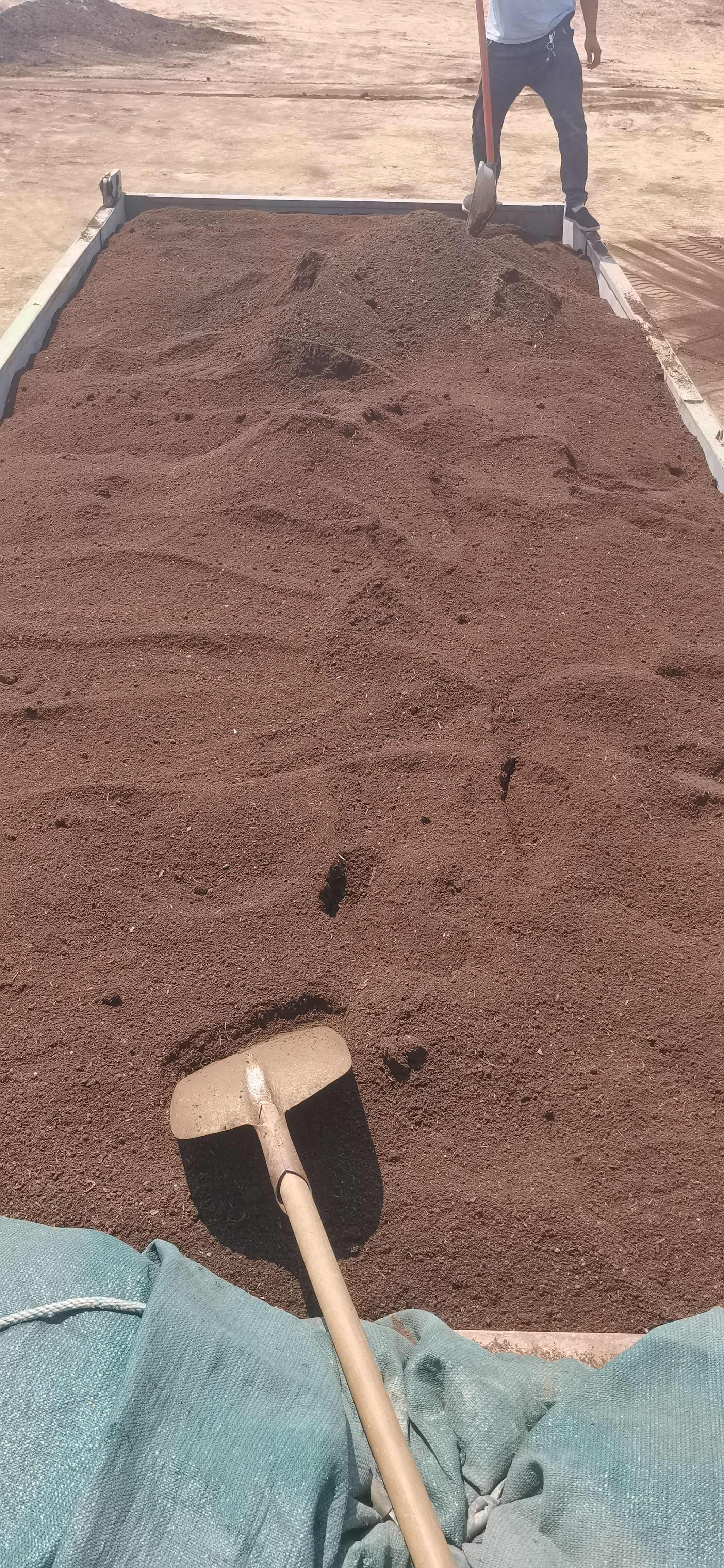 发酵纯牛粪