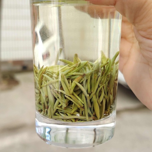 信阳信阳毛尖高山珍品500克