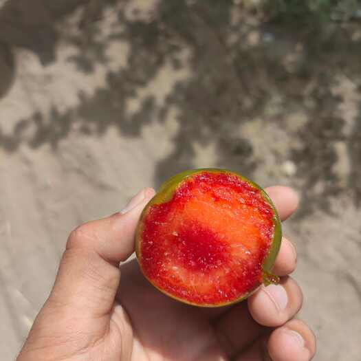 莎车县新疆味帝