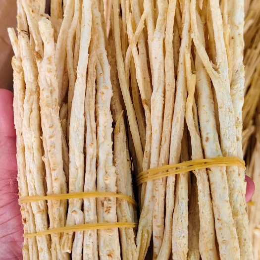 玉林沙参