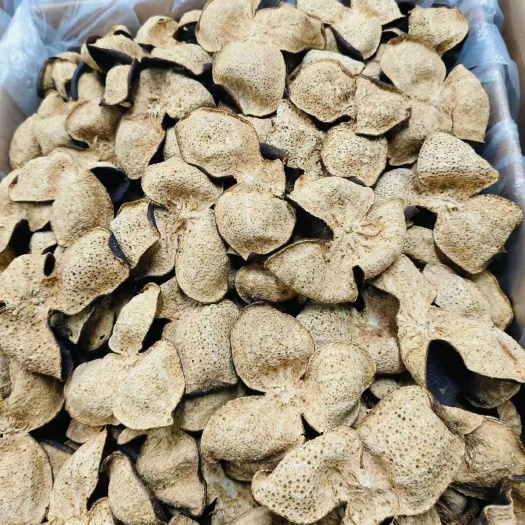广州陈皮