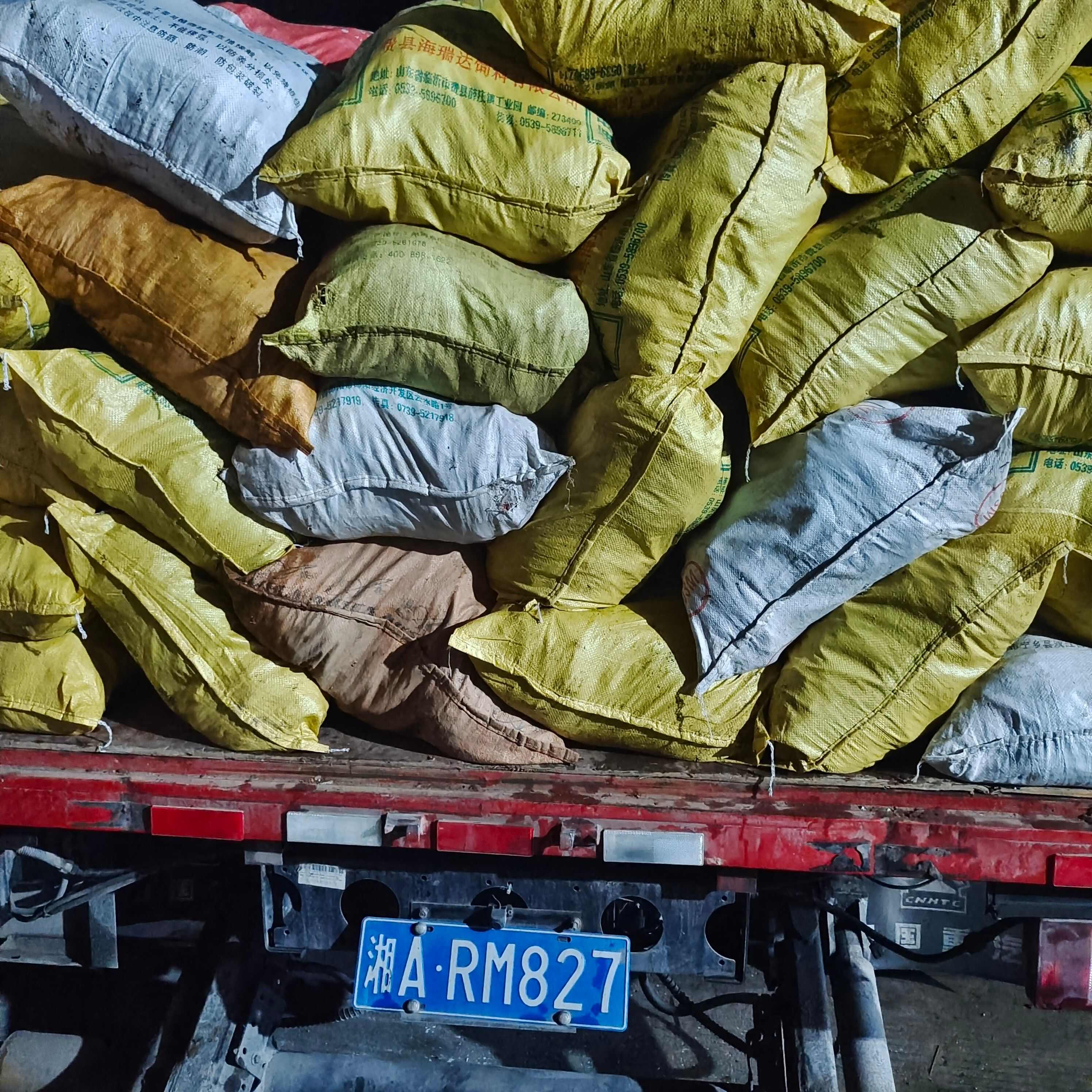 大量姜形多花黃精(倒苗)品種出售，歡迎新老客戶咨詢及實(shí)地考