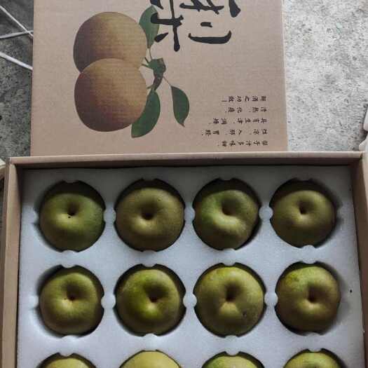 上海上海庄行蜜梨，翠冠梨