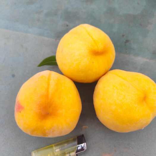 黄桃