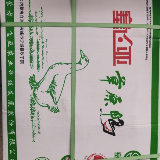济南白条鸭  大白条鸭