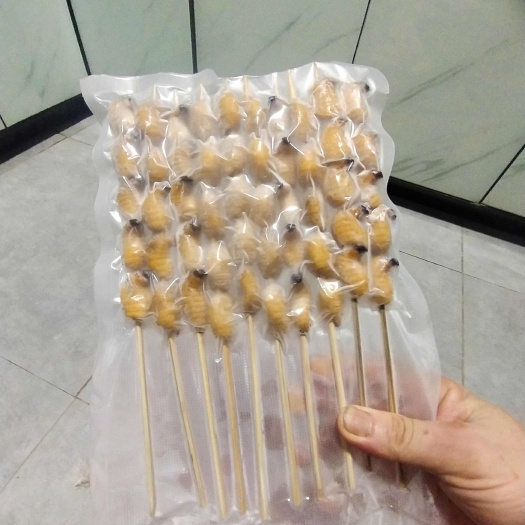 湛江烧烤竹虫串批发