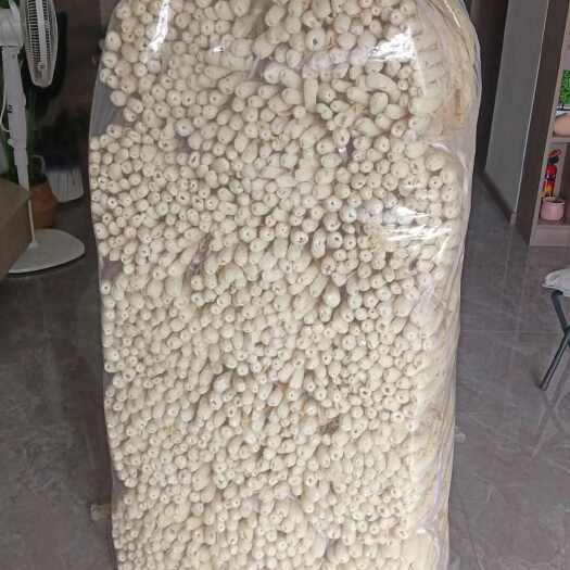 连城县竹荪