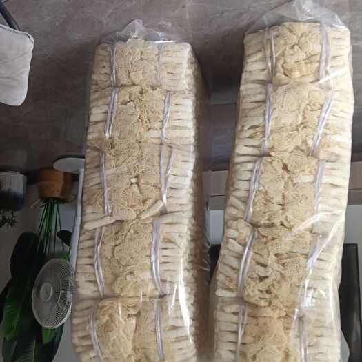 连城县竹荪