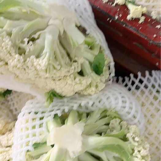 沽源县花菜