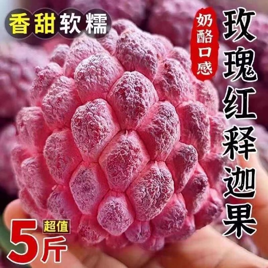 海口玫瑰红释迦果新鲜当季番荔枝佛头果软糯香甜牛奶释迦果大果摩尼果