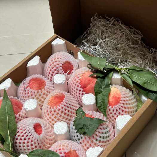 成都龙泉驿水蜜桃/脆桃 一件代发 当季品种 24小时内发货