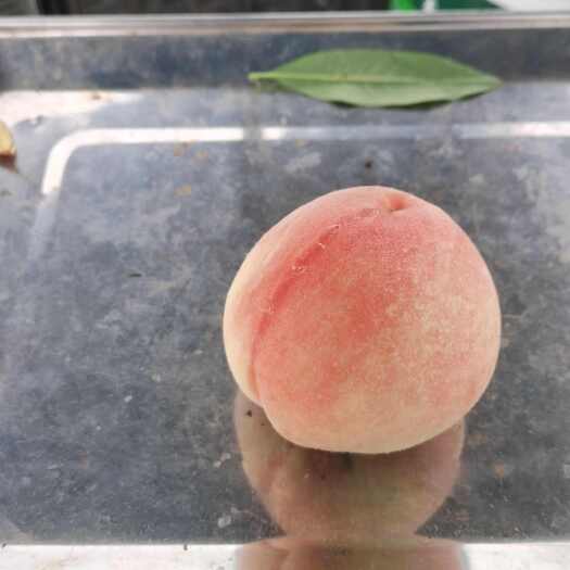 邛崃市蜜桃