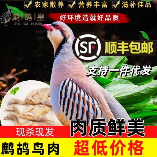 元氏县鹧鸪飞龙活体白条代发，顺丰包邮，可上团购、电商等平台，