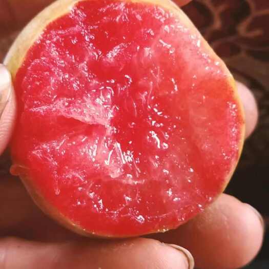 新疆维蒂，新疆恐龙蛋