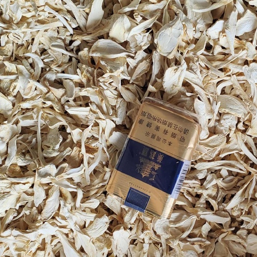 平泉市杏鲍菇干品