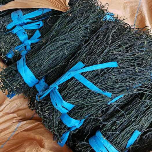 单县精品干豆角，大量上市。