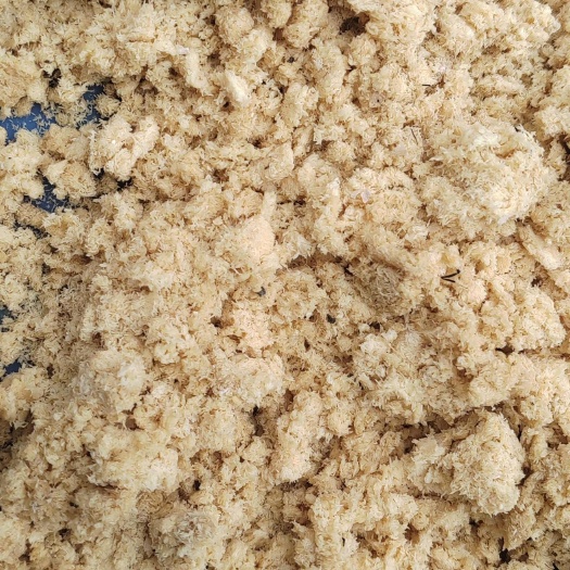 乐山黑水虻 虫卵