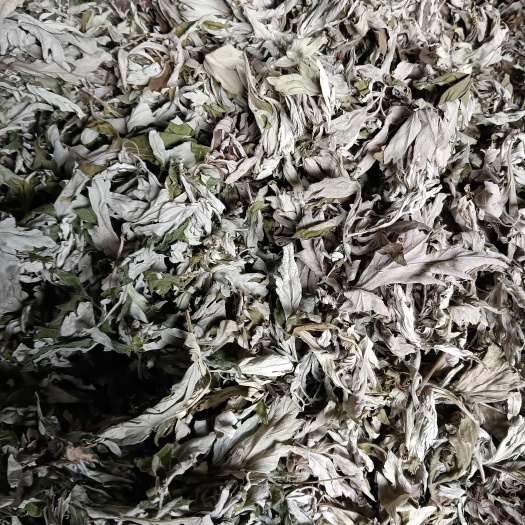 剑阁县艾草