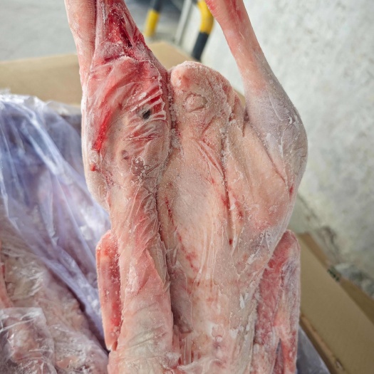济南鹅肉类  仔鹅 全净膛去油去肺