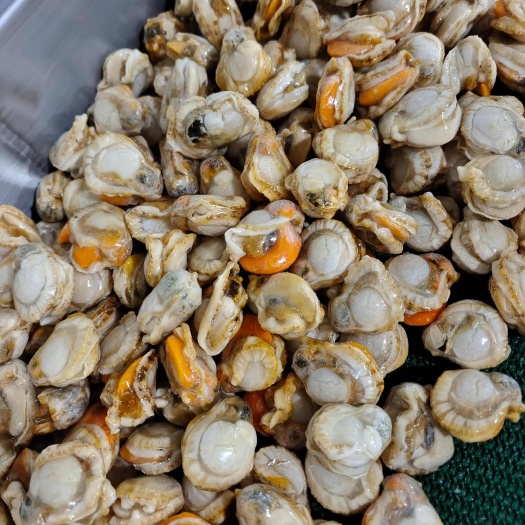 山东威海荣成单冻扇贝肉规格齐全，干冻包冰都有，可订单做货
