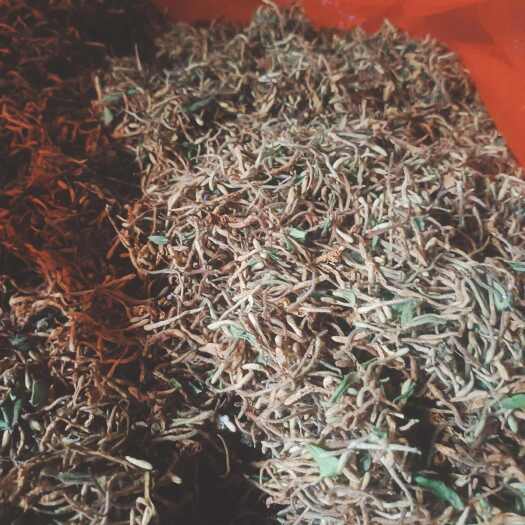 巫山金银花 精品金银花