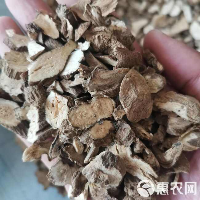 白术 圆片实图视频照【假一赔十】白术大棵粒