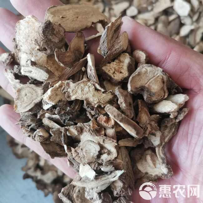 白术 圆片实图视频照【假一赔十】白术大棵粒